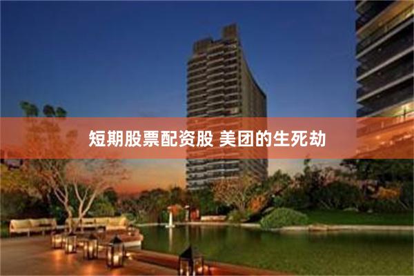 短期股票配资股 美团的生死劫