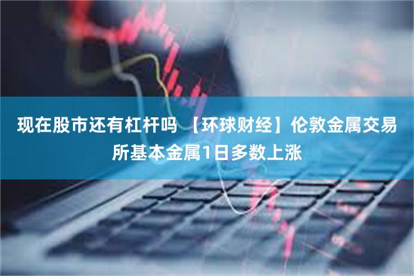 现在股市还有杠杆吗 【环球财经】伦敦金属交易所基本金属1日多数上涨