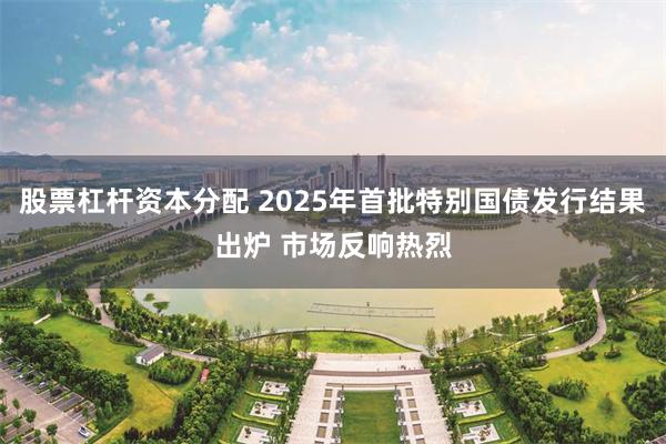 股票杠杆资本分配 2025年首批特别国债发行结果出炉 市场反响热烈