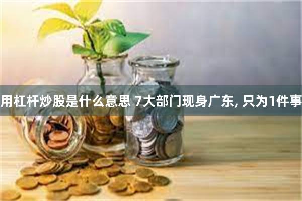 用杠杆炒股是什么意思 7大部门现身广东, 只为1件事