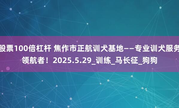 股票100倍杠杆 焦作市正航训犬基地——专业训犬服务领航者！2025.5.29_训练_马长征_狗狗