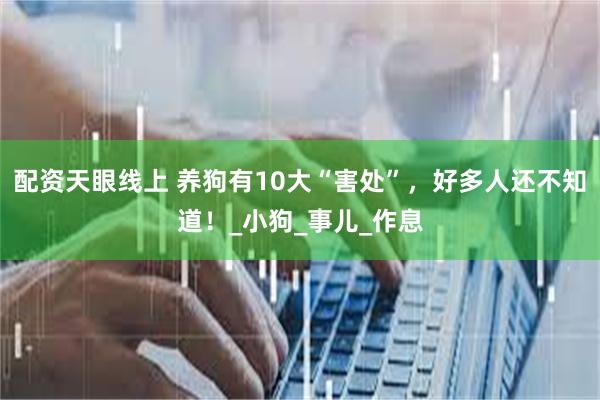 配资天眼线上 养狗有10大“害处”，好多人还不知道！_小狗_事儿_作息