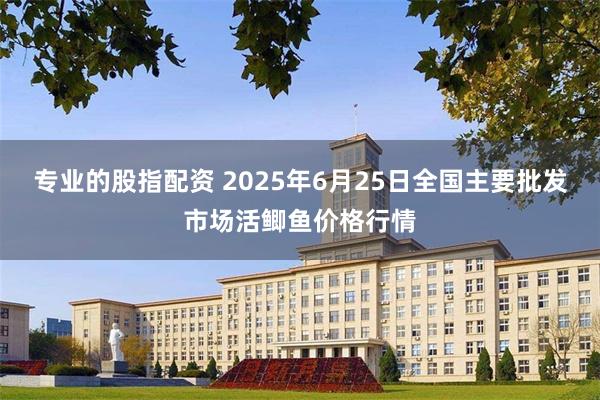 专业的股指配资 2025年6月25日全国主要批发市场活鲫鱼价格行情