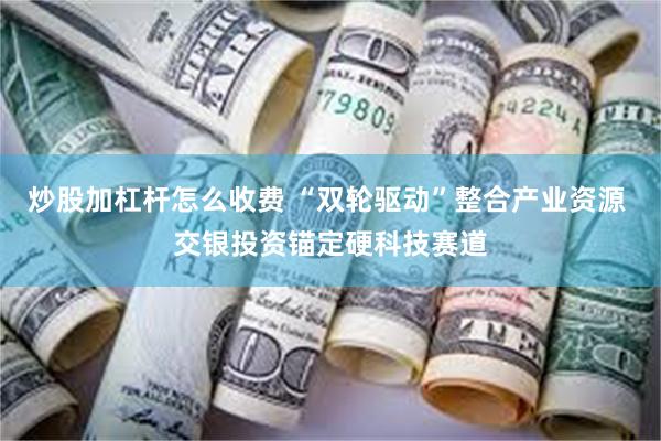 炒股加杠杆怎么收费 “双轮驱动”整合产业资源 交银投资锚定硬科技赛道