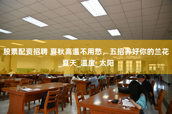 股票配资招聘 夏秋高温不用愁，五招养好你的兰花_夏天_温度_太阳