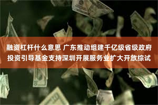 融资杠杆什么意思 广东推动组建千亿级省级政府投资引导基金支持深圳开展服务业扩大开放综试
