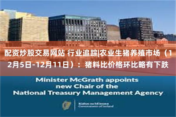 配资炒股交易网站 行业追踪|农业生猪养殖市场（12月5日-12月11日）：猪料比价格环比略有下跌